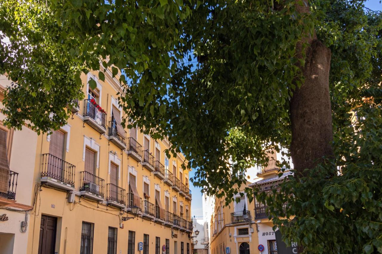Nine O Clock San Agustin Suites, Seville